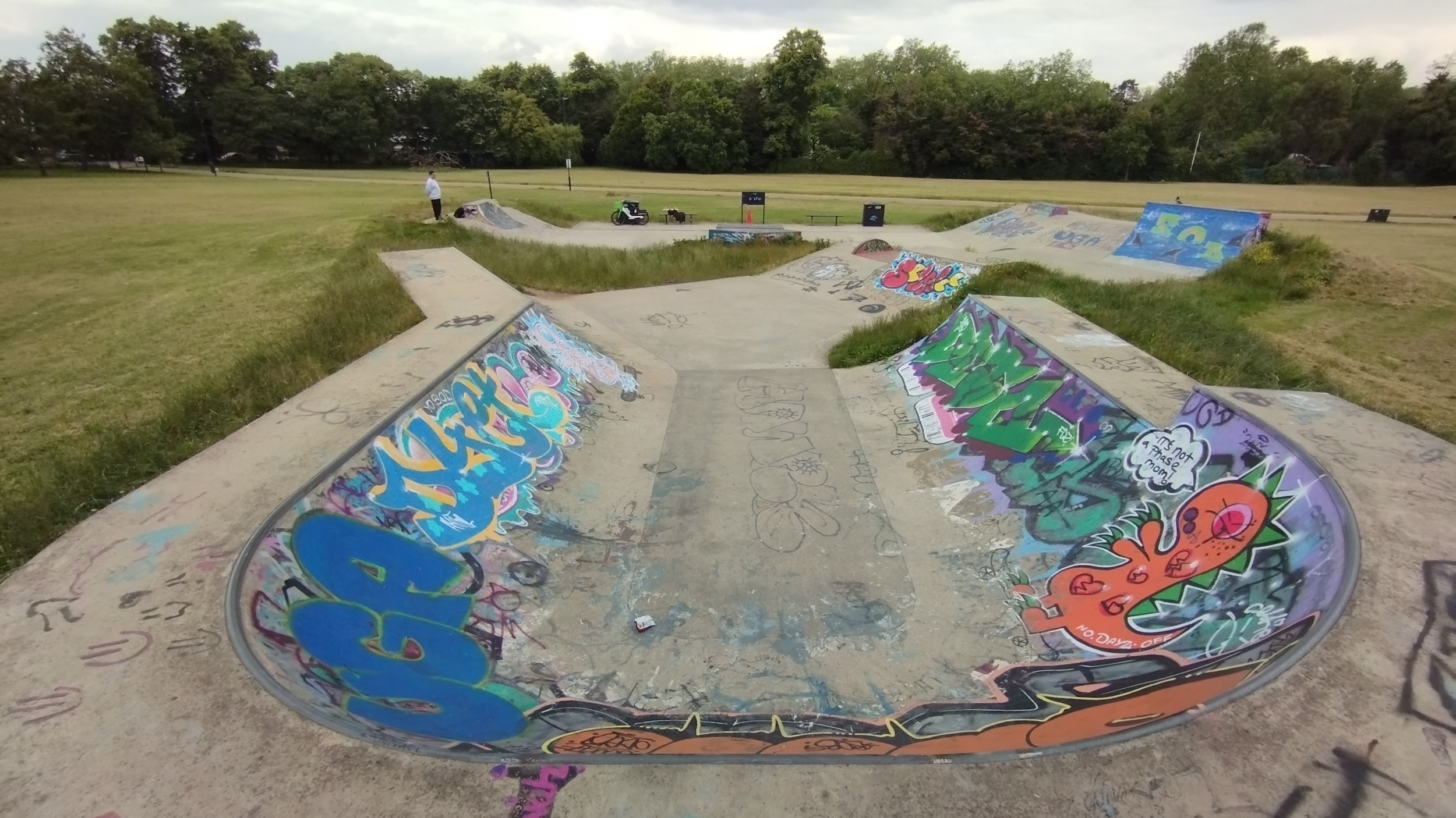 Roundwood Park Skatepark